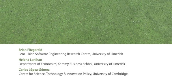 Irish Software Landscape Study Interim Report